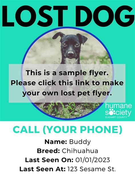 Lost Pet Poster