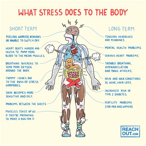 What Does Do To The Body