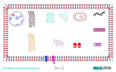 Image result for ATF Operating Structure