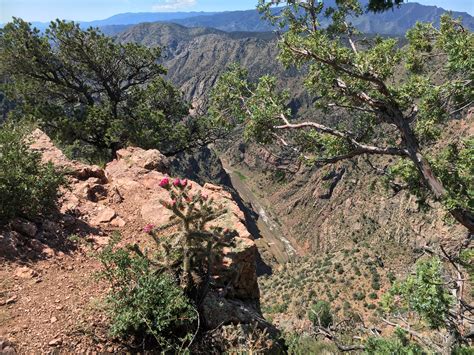Elevation of Royal Gorge Bridge, Cañon City, CO, USA - MAPLOGS