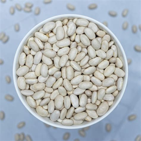 Great Northern Beans | Northern Feed and Bean