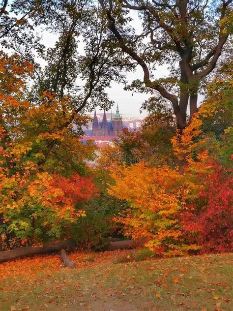 Image result for Cool View