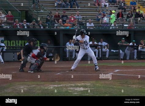 Baseball Batter Swing 的图像结果