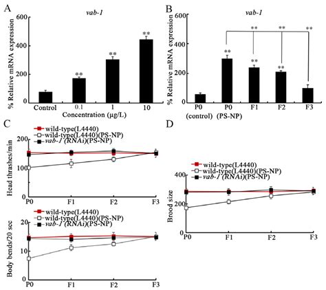 Nanoplastic Exposure at Predicted Environmental Concentrations Induces ...