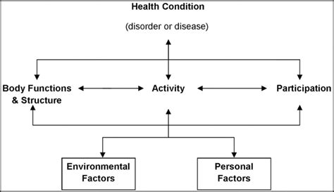 Image result for Who International Classification of Function