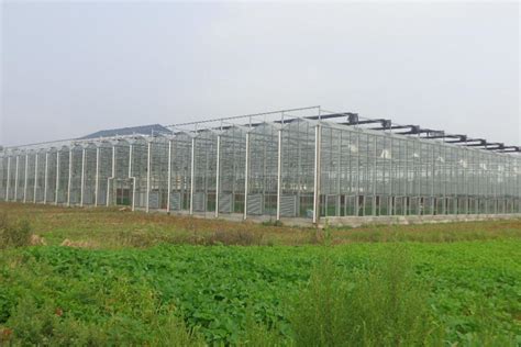中国农业大学曲周实验站 科技小院联盟 欧陆集团农业公司（Eurofins Agro）到曲周考察