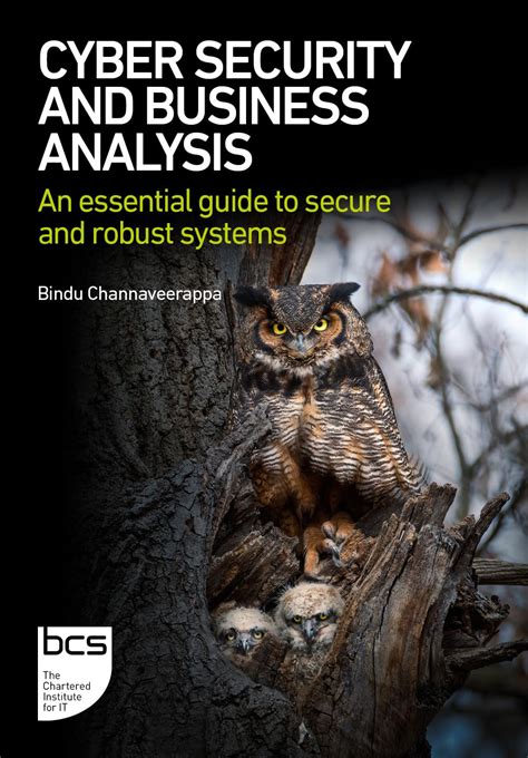 Buy Cyber Security and Business Analysis: An essential guide to secure ...