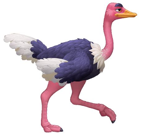 Image result for Cycle Animation Animals