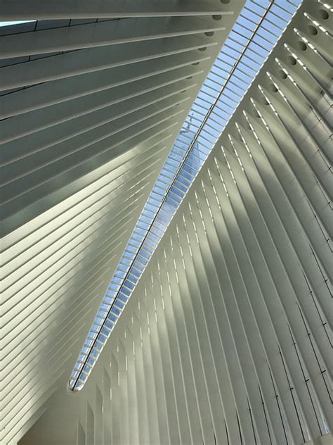 Image result for Oculus Ceiling