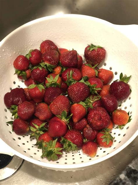 Simple Hack to Keep Strawberries Fresh (for up to 2 weeks!) - Jac of All Things