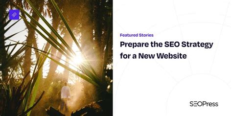 Image result for SEO Press Tutorials