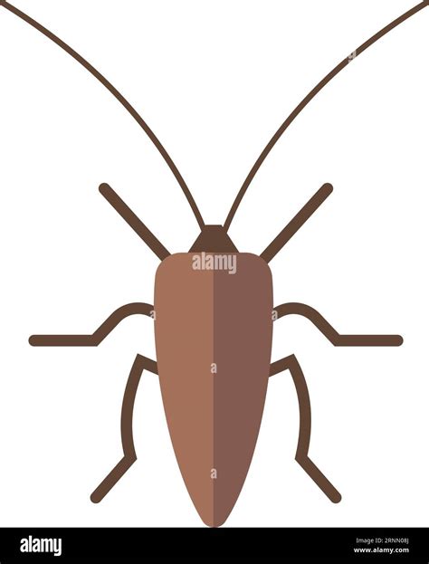 Image result for Cockroach Insect