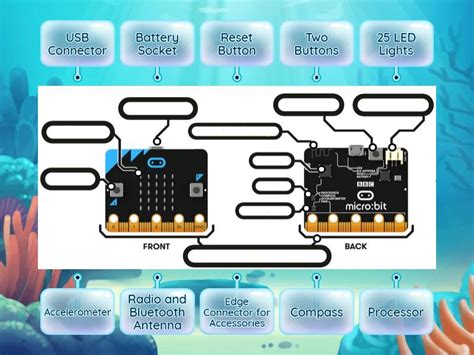 Image result for Micro Bit Front and Back Labelled