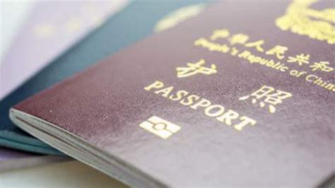 外国人签证证件申请表, 工作签证申请表