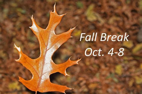 October Fall Break 的图像结果