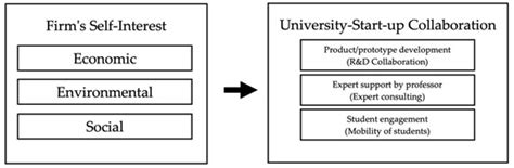 Road to Sustainability: University–Start-Up Collaboration
