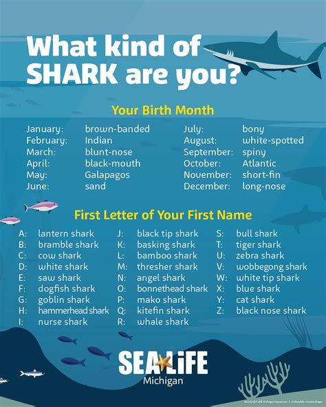 Free printable line tracing activity sharks – Artofit