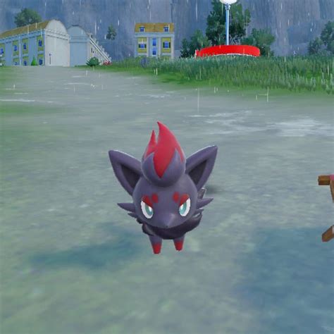 Zorua Evolution Level