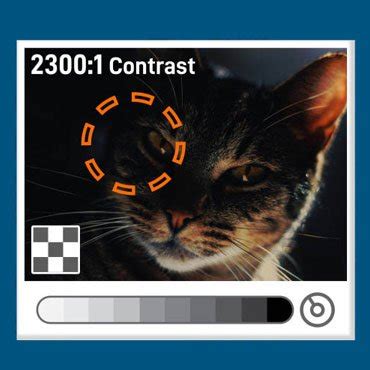 Image result for Display Contrast