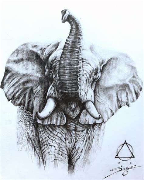 Pencil Drawings Elephants