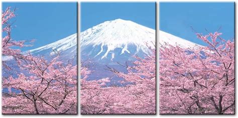 So Crazy Art Mount Fuji Cherry Blossom Canvas Wall Art - 3 Panel India ...