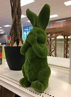 Image result for Bunny Hugging a Human