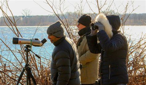 Bird Walks Along The River, Pennypack on the Delaware, Philadelphia, 21 ...