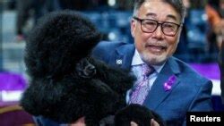 Miniature poodle Sage fetches top prize at Westminster Kennel Club Dog Show
