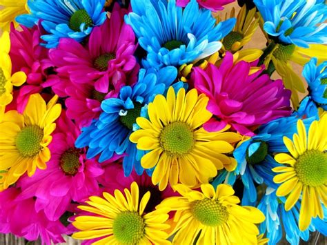 Image result for HTML Framework Practice