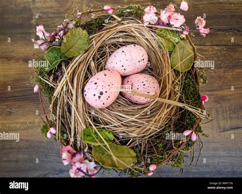 Easter eggs nest flowers hi-res stock photography and images - Alamy
