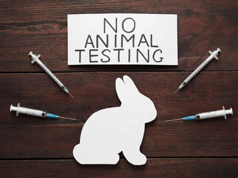Image result for Animal Testing Controversy