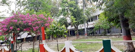 SSV College, Hapur