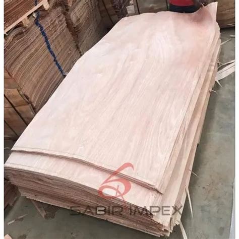 Face Veneer - White Recon Face Veneer Trader - Retailer from Raipur