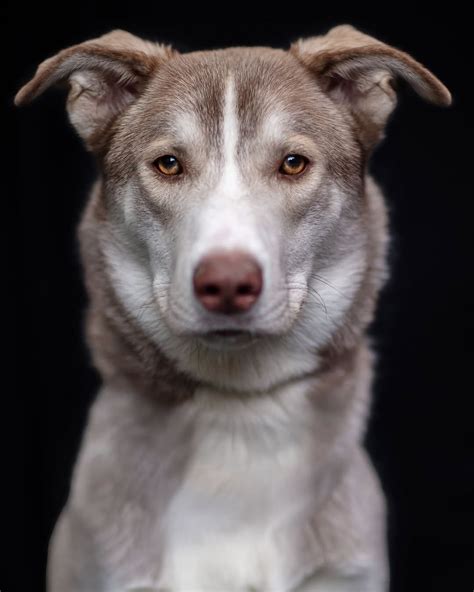 Mitzi Martin | Glam and photographed by @itstroyjensen Produced by @jarekaddison Kenny hat by ...