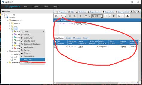 Query SQL with Pgadmin4 的图像结果