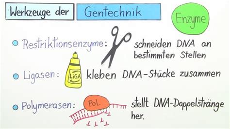 Résultat d’images pour gentechnik 