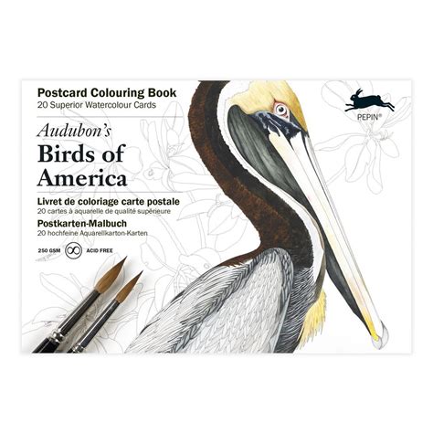 Audubon's Birds of America: Postcard Colouring Book : Van Roojen, Pepin ...
