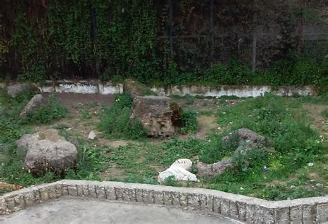 Algiers Photos - Featured Images of Algiers, Algiers Province - Tripadvisor