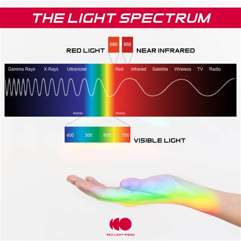 Image result for Visible Spectrum Explained