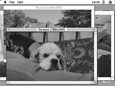 Image result for Mac Raspberry Pi