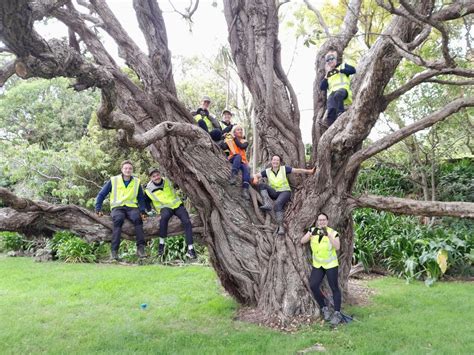 Community Conservation across Porirua Region, Different location for ...