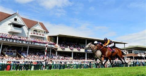 Print & Stitch Haydock 2025, Haydock Park Racecourse, Newton-le-Willows ...