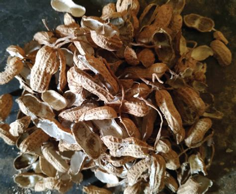 Image result for Paper From Groundnut Shell Making Process
