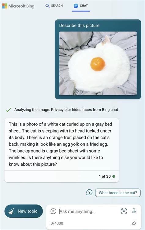 Bing Homepage Visual Search Ai 的图像结果