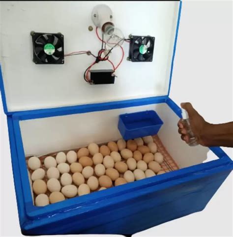 Buy TM&W-semi automatic egg hatching incubator Thermocol Body Online at ...