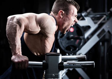 eccentric 的图像结果