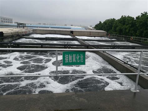 大量淤泥怎么处理 - 洋霖(上海)环境治理有限公司