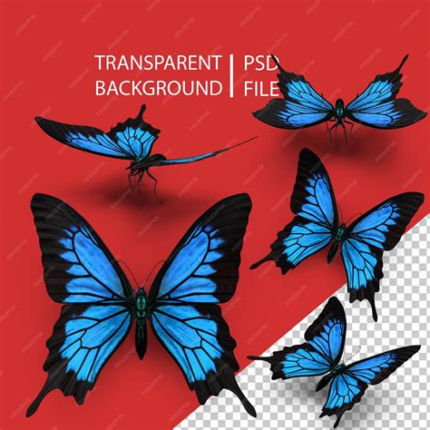 Premium PSD | Papilio Ulysses Butterfly PNG