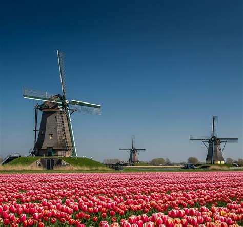 Image result for 974 Area Code