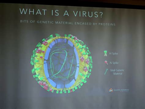 Image result for Viruses Explained